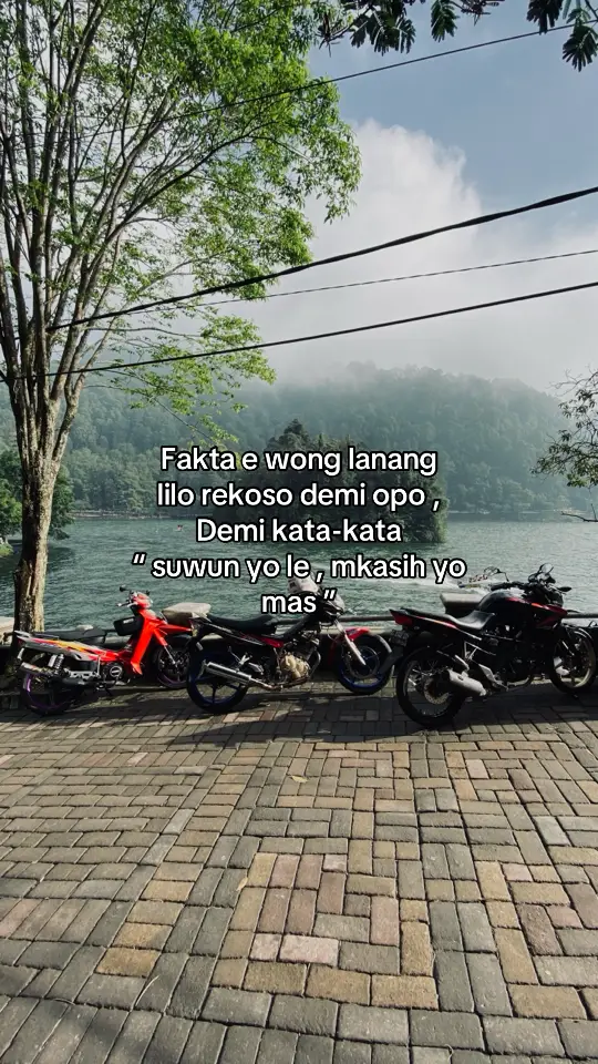 #fizr #fuwungkul147 #cb150r 