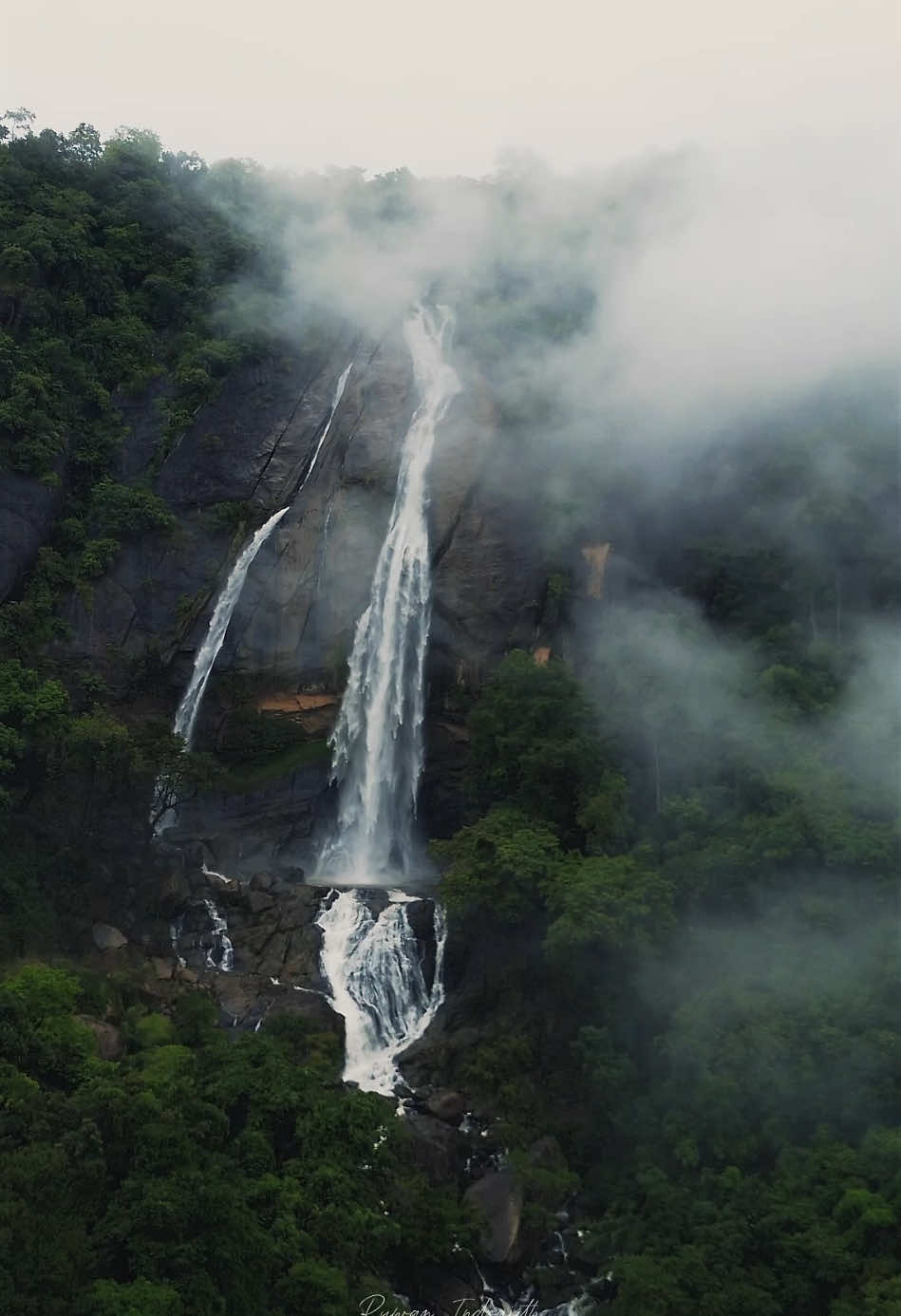 The Hidden Beauty ❤️@Diyawini Ella . . . #chasingwaterfalls #waterfall #huntingwaterfalls #beauty #explor #discover #travelling #travellife✈️ #srilanka🇱🇰 