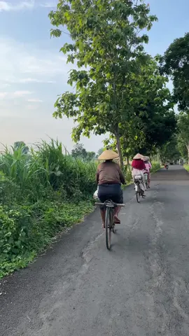 Suasana pagi di jalan Karang Asem - Karang Tengah, Ibu-ibu pekerja sektor pertanian rombongan bersepeda menuju ke sawah. #pedesaan #jalanjalan #liburan #jatirogo #tubantiktok  #tuban