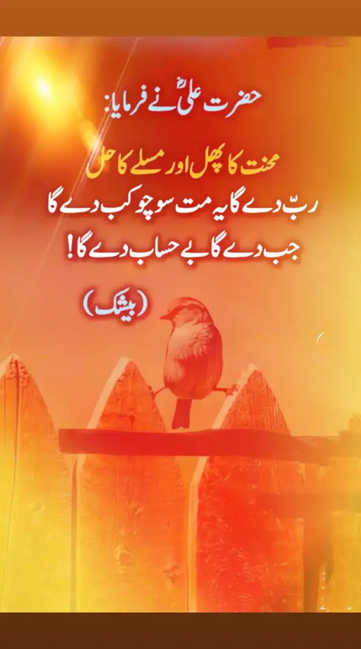 #urdushayari #urdustatus #urdupoetry #mqasimfiroza #qasimfiroza 