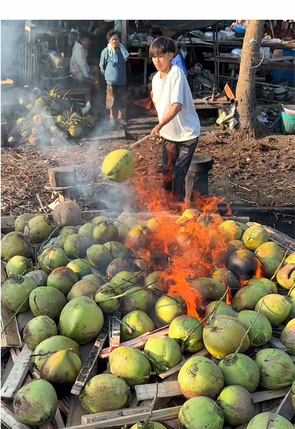 Must-Try Roasted Coconut Water in Thailand 📍เจ้ยุพิน มะพร้าวเผาบ้านแพ้ว https://maps.app.goo.gl/gEnGLS4pLU9uYW9J7 J543+652, Suan Som, Ban Phaeo District, Samut Sakhon 74120 ⏰ 8 am open #coconut #coconutwater 