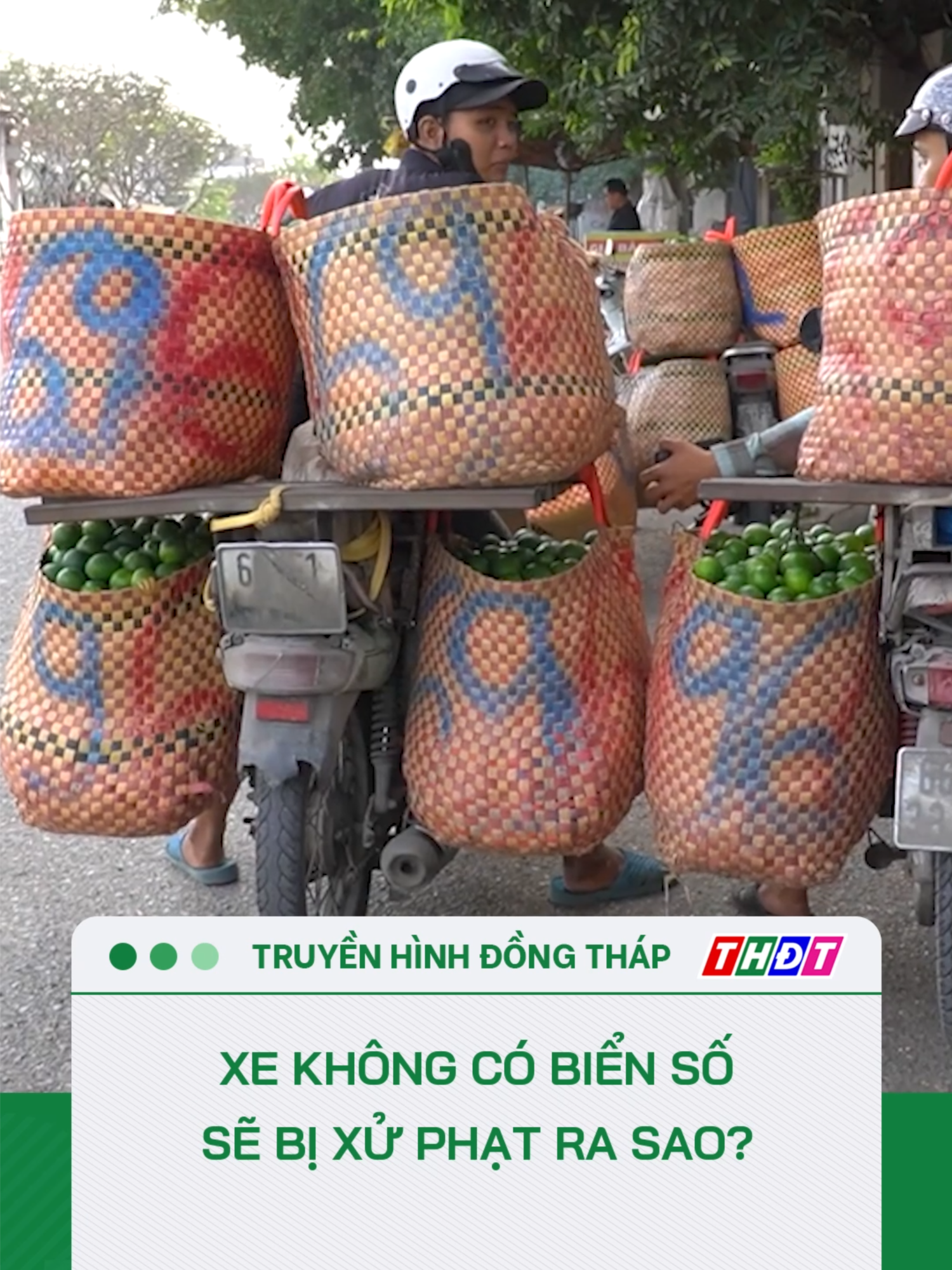 Xe không có biển số sẽ bị xử phạt ra sao? #tiktokthdt #truyenhinhdongthap #dongthaptv #thdt #mcv #tiktoknews #dongthap