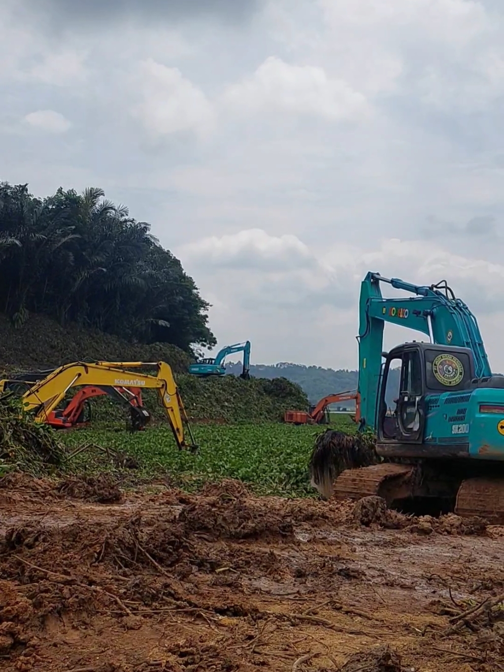 kondisi terkini di cirata proses epakuasi wabah gulma eceng gindok #xyzbca #pyfツ #rondom #ciratapurwakarta #ciratabandungbarat