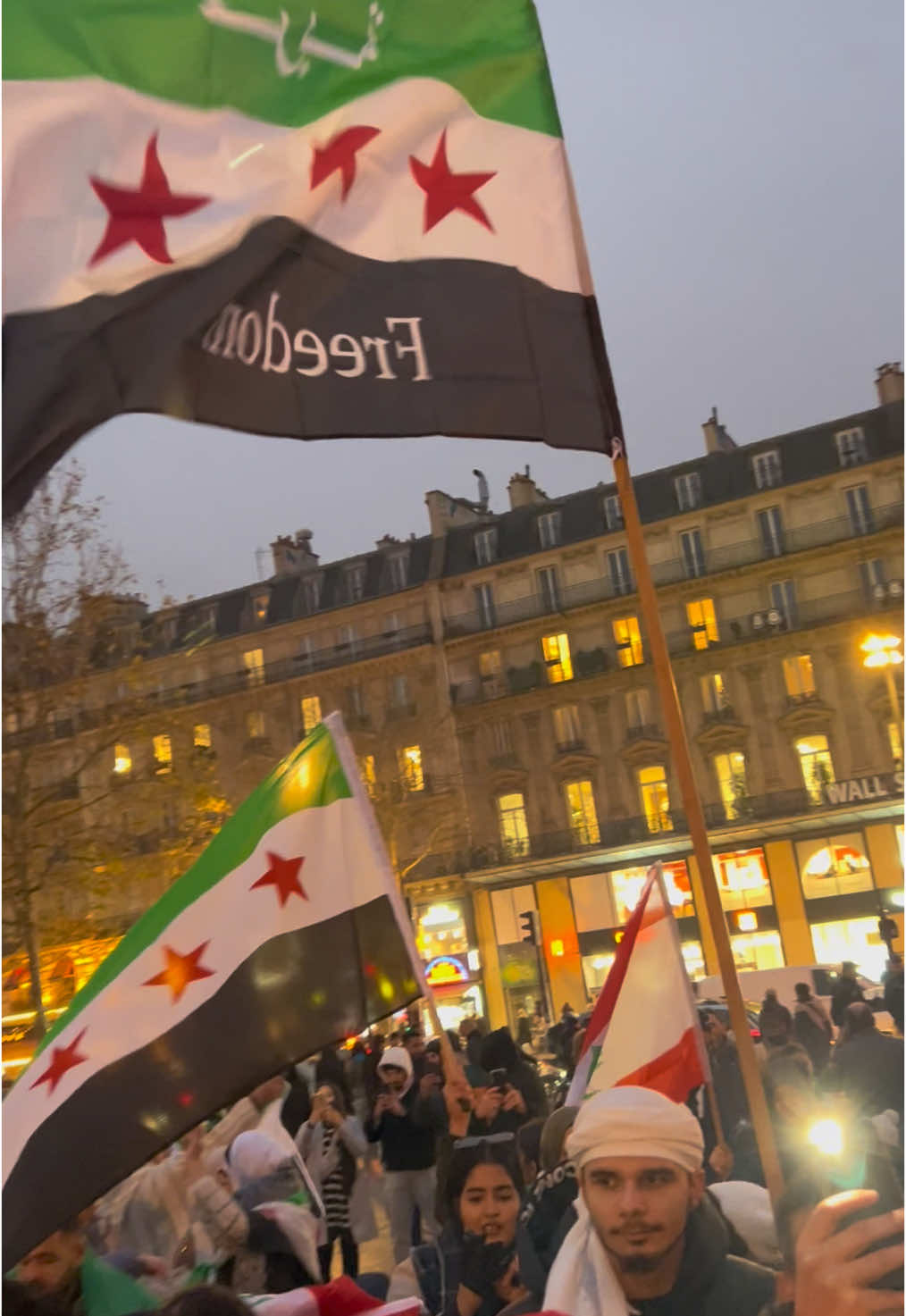 The people have triumphed… Syria, the great Syrian people, happiness befits you💚💚               #سوريا #paris #سميح_شقير #ثورة #syria #freedom #باريس  #fyp 