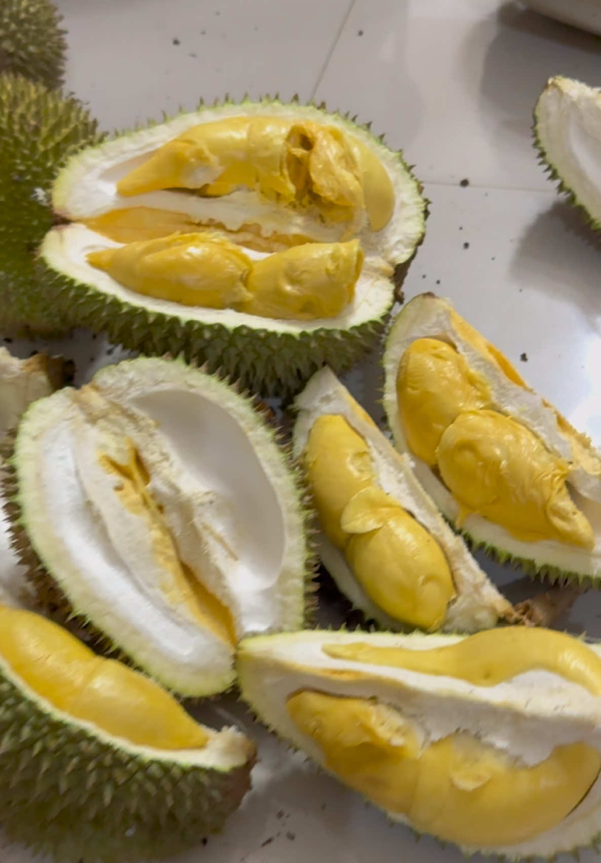 duren bangka ngak ada lawan kecil kecil cabe rawit. #durian #makananviral  #fypシ゚viral  #trendingvideo  #musimduren 