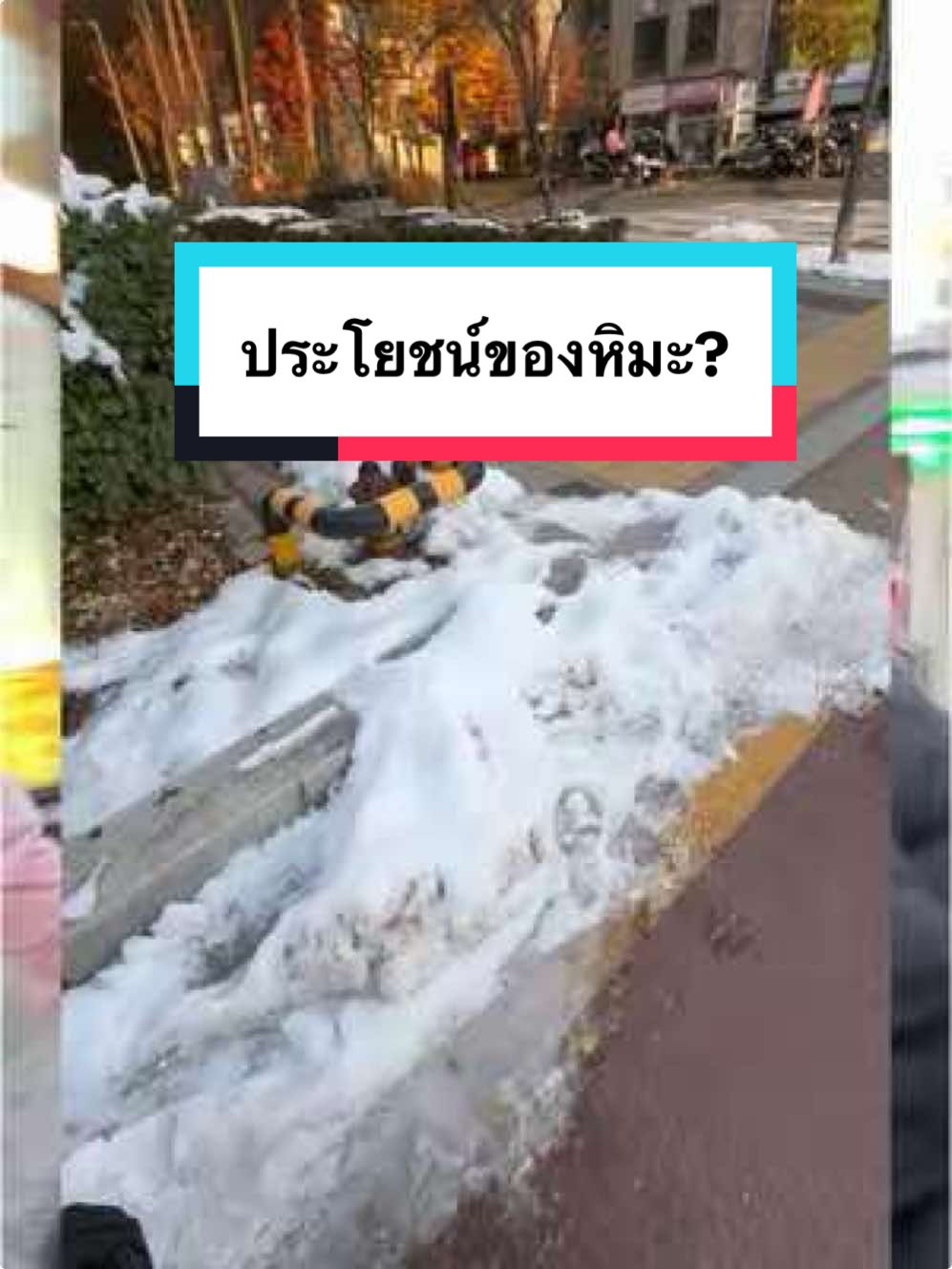 ฉันผู้ภาวนาทุกวันให้หิมะไม่ตก 🤣#หิมะ 