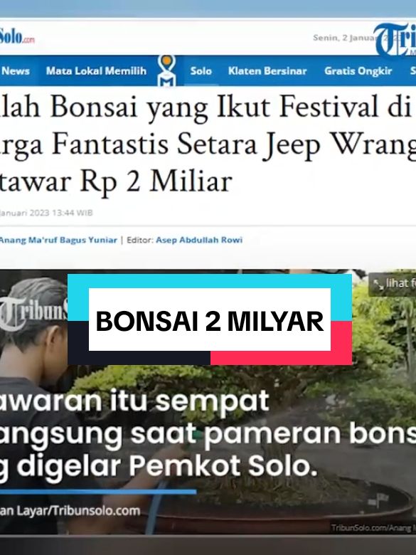 BONSAI YANG SEMPAT DI TAWAR 2 MILIAR #bonsai #bonsaimahal #bonsaiindonesia #pecintabonsai #senibonsai #foryou #foryoupage #fyp 