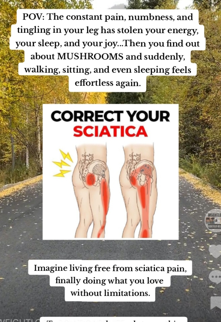 Tired of the constant aches and struggles of nerve pain? Stop letting sciatica control your life. Relief is possible, and it doesn’t have to come from meds or surgery. Discover a natural way to ease the pain and finally get back to feeling like yourself. Start your journey today you deserve the freedom to move pain-free. #sciaticapain #sciaticapainrelief #happynerves #instantsciaticarelief #sciaticafix #sciaticnervepainrelief #naturalsciaticrelief #naturalsciaticrelief #enjoychristmas #creatorsearchinsights  * * * sciatica exercises  sciatica treatment sciatica symptoms  sciatica explained sciatica relief stretches sciatica pain exercises  sciatica exercises for back sciatica chiropractor sciatica pregnancy relief Instant sciatica pain relief  Sciatica fix  Natural sciatica remedy  Mushrooms for sciatica relief  How to get rid of sciatica nerve pain 