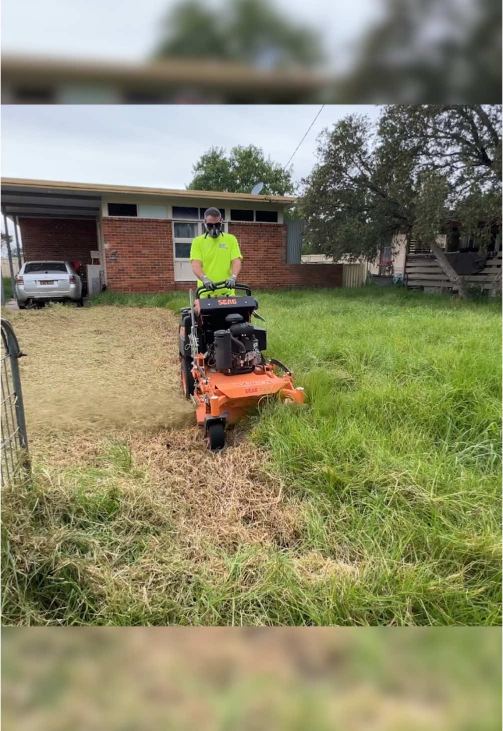 Wild dogs attempt to attack me while mowing a lawn! #satisfying #freemowfridays #timthelawnmowerman #claratyne @Claratyne Hayfever and allergy relief. Always read the label and follow directions for use.