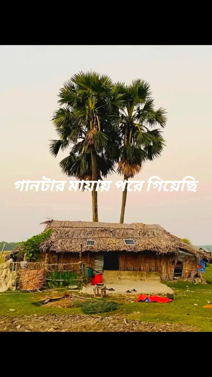 সেই মানুষের ওপর বিশ্বাস ভরসা করা যায়,,, যে কিনা বুঝতে পারে হাসির আড়ালে লুকিয়ে থাকা কষ্ট, রাগের পিছনে ভালবাসা এবং নিশ্চুপ থাকার কারন.... #fppppppppppppppppppp #yyyyyyyyyyyyyyyyyy #trendingvideo #foryoupageofficiall #plzviralvideo @For You @For You House ⍟ @Tiktok bangladesh 