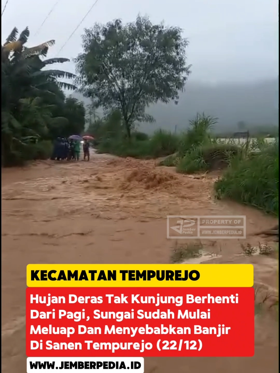 Hujan Deras Tak Kunjung Berhenti Dari Pagi, Sungai Sudah Mulai Meluap Dan Menyebabkan Banjir Di Sanen Tempurejo (22/12/2024) #banjir #tempurejo #jember #infowargajember #jemberpedia #beranda #fyp #fouryoupage #viral #xyzbca 