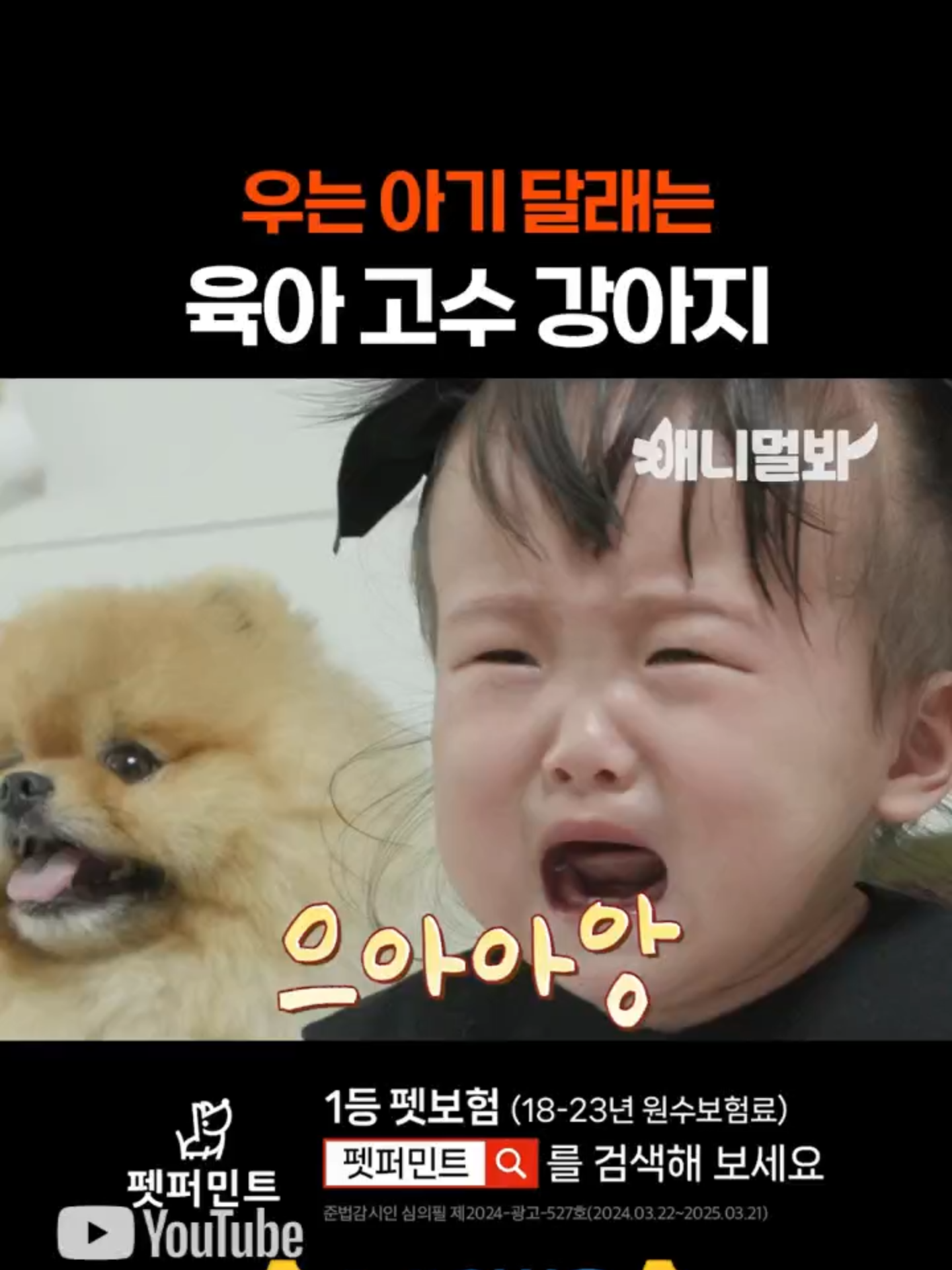 우는 아기 발양갱하는 스윗한 개 #fyp #foryou #animalover #animals #dog #애니멀봐 #강아지