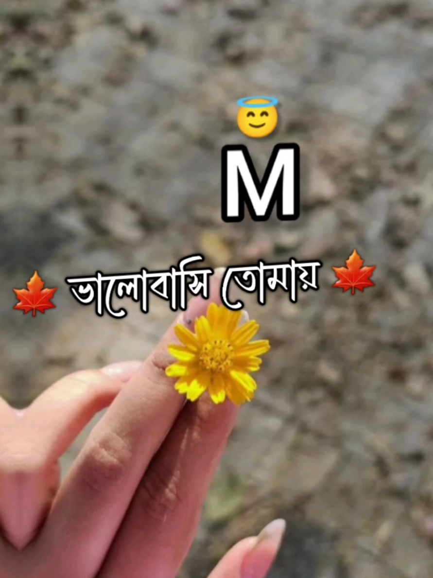 🥰 ভালোবাশি তোমায় 🥀 #vairal_video_tiktok #officialaccount #plzunfrezemyaccount #__letter__edit__official #2milionviews✌️💯 #প্লিজ_একটা_শেয়ার_করবেন।🙏💝 @TikTok Bangladesh @TikTok @TikTok for Business SEA @#foryou 