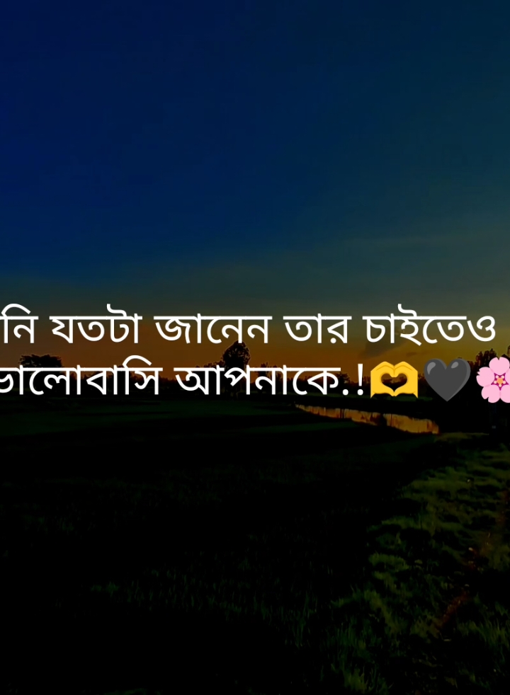 আপনি যতটা জানেন তার চাইতেও বেশি ভালোবাসি আপনাকে.!🫶🖤🌸#fypシ゚ #tiktok #foryou #status #tibro_03 #unfrezzmyaccount 