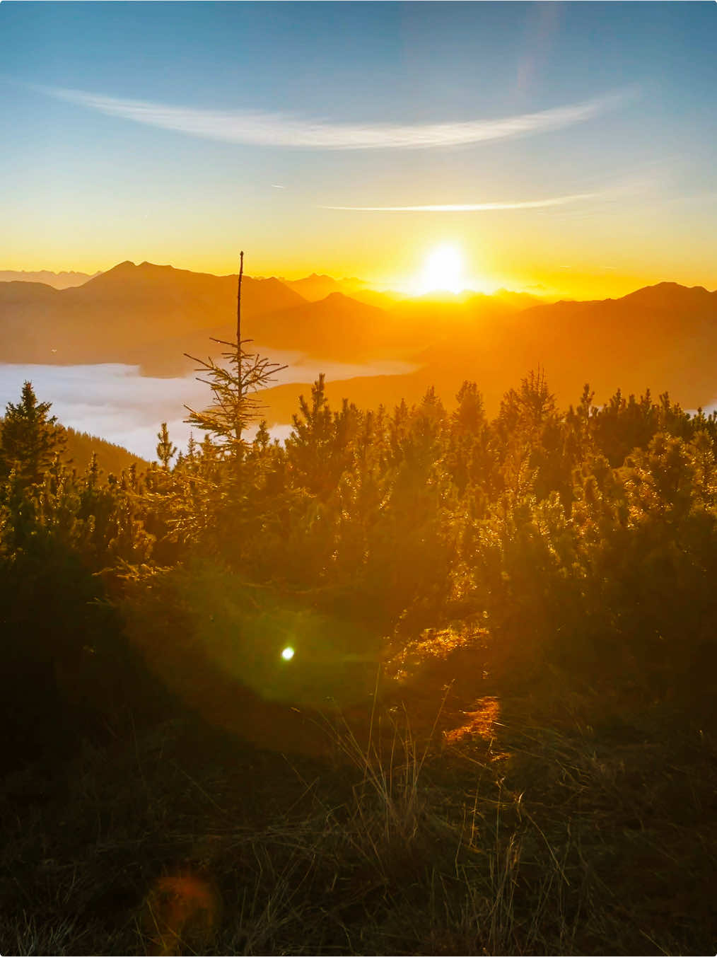 sunsets that feel different🏞️ #nature #real #dream #views #free #fyp #viral #sunset #summervibes #sonnenuntergang #Summer #warmersommer #hike #alps #mountains #scenery #mountain #explore #gorpcore #Hiking 