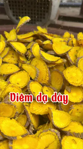 Đau do viêm dạ dày thì nên áp dụng vị này nhé #daday #thuocnam #hoangdang #thaynghiathainguyen 