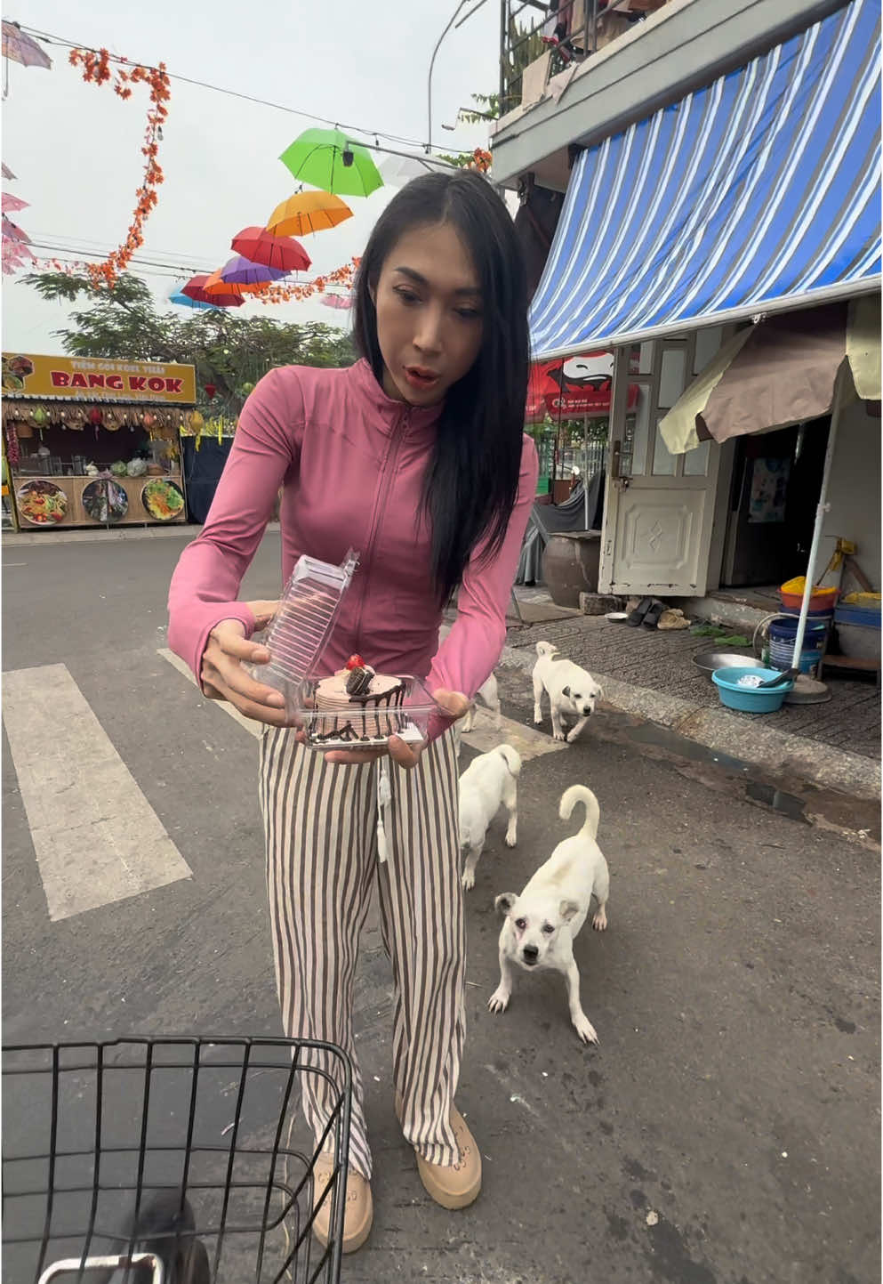 🐩🐕🐕‍🦺🦮1 2 3 Ta Cùng Thổi Gấu Gấu Gấu  #khoabao🐆 #xuhuong #troll 