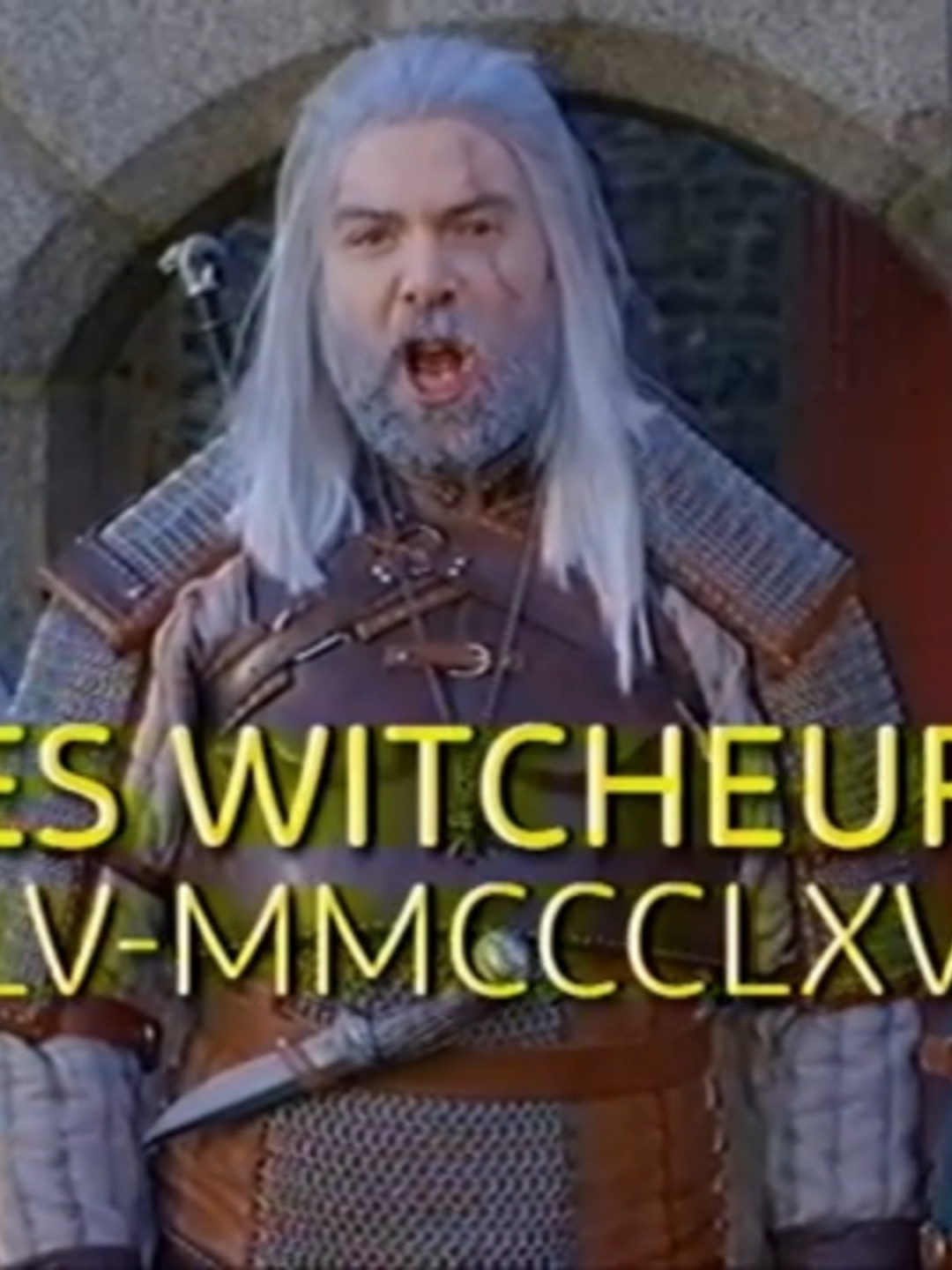 The witcheur (english subtitles) J'espère que JDG ne m'en voudra pas de partager cet extrait avec mes amis anglophones. #TheWitcher #GeraltOfRivia #Cirilla #Vesemir#Parody #joueurdugrenier