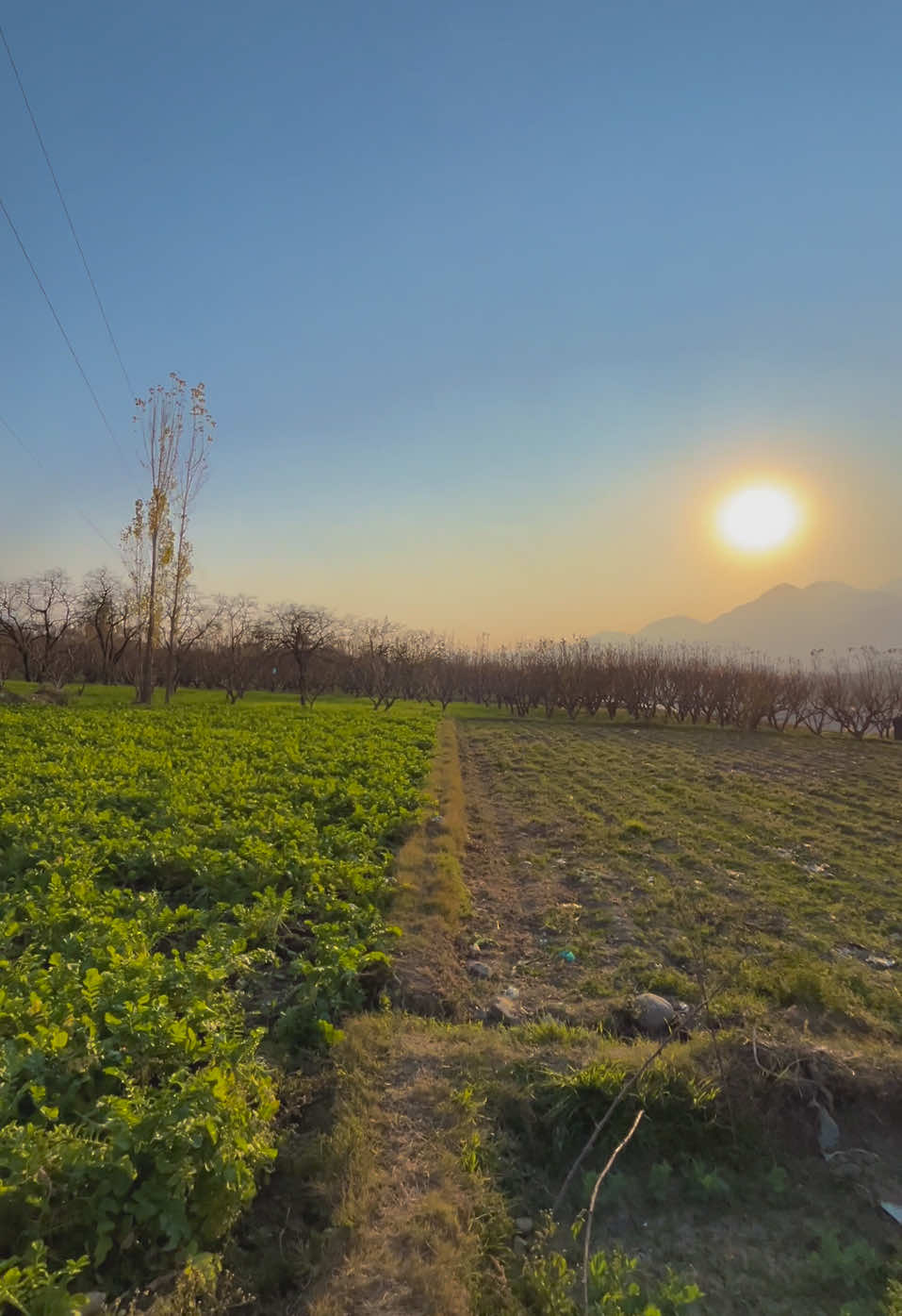 Pa Jara Jara mE oMar pA SajDo pA mOnzOno tEr ko 💕. #naturevibes #foryou #viral #exploreswat #trending @Abid Ali