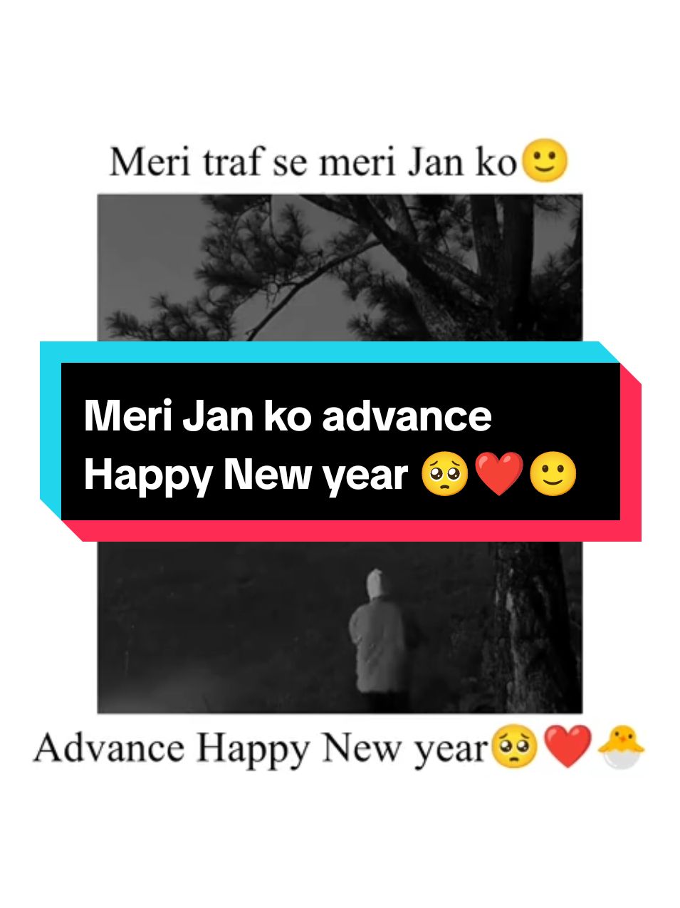 #CapCut #meri Jan ko advance Happy New year🥺❤️🐣🙂#Repost🤌💔🥀 #sehar_jutt_ #trending🧐 #unfreezemyacount #foryoupag #trending #trendingvideo #newyear #2025 