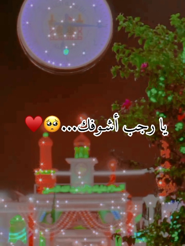 متباركين بحلول شهر رجب الأصب🥺🤍🌸.  #اللهم_صل_على_محمد_وآل_محمد  #متباركين_يا_شيعة_؏ـلي🦋💕  #شهر_رجب_الأصب 