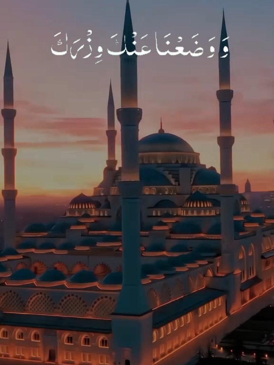 #creatorsearchinsights #viral_video #fyg #quran #tilawat #nutrail #quranreaction @tiktok creators 