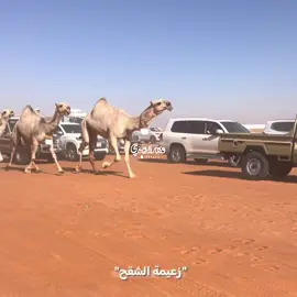 🔥🔥. #اكسبلور #الشقح 