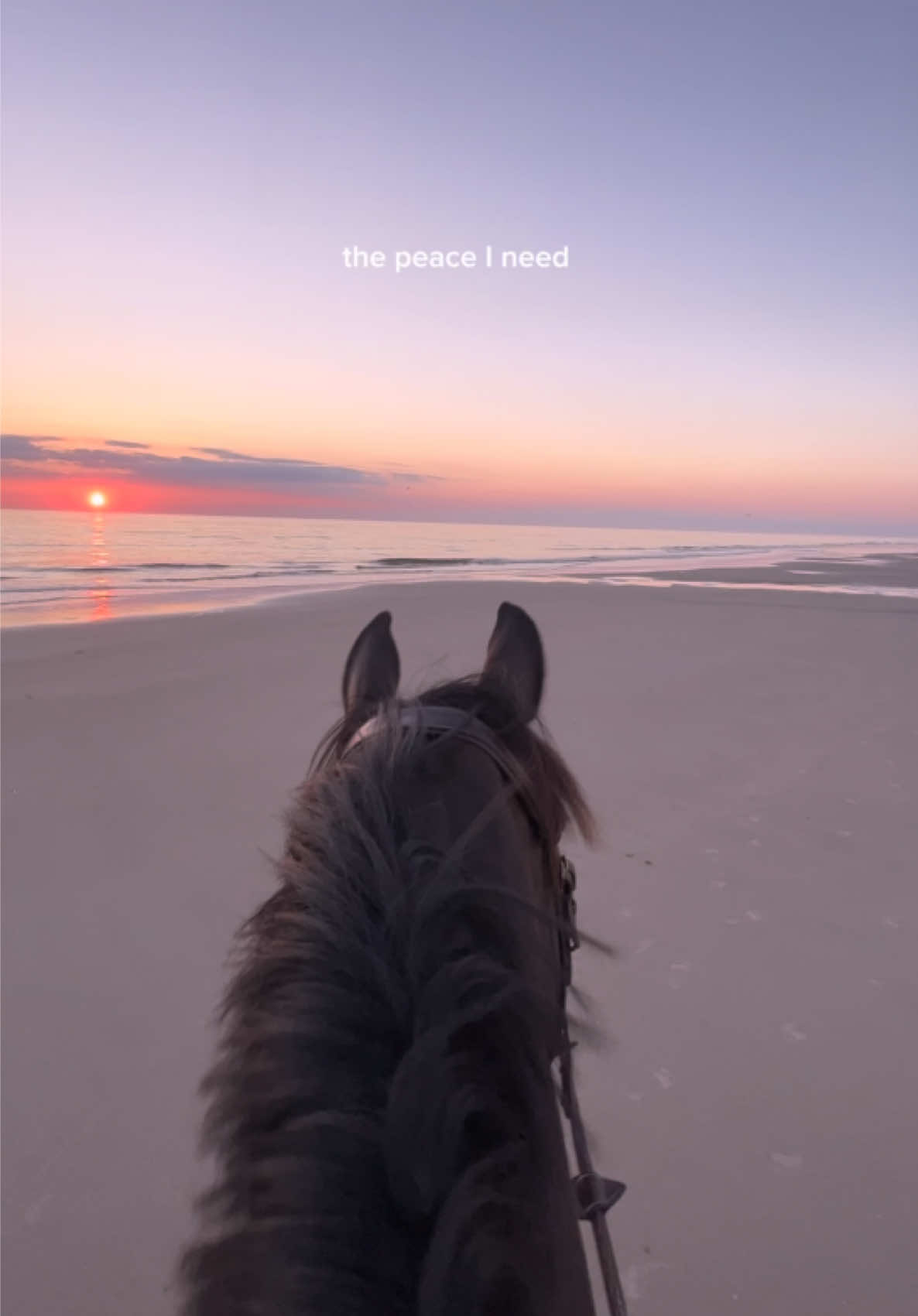 The peace I need, just me, my horse, and the sunset 💖 