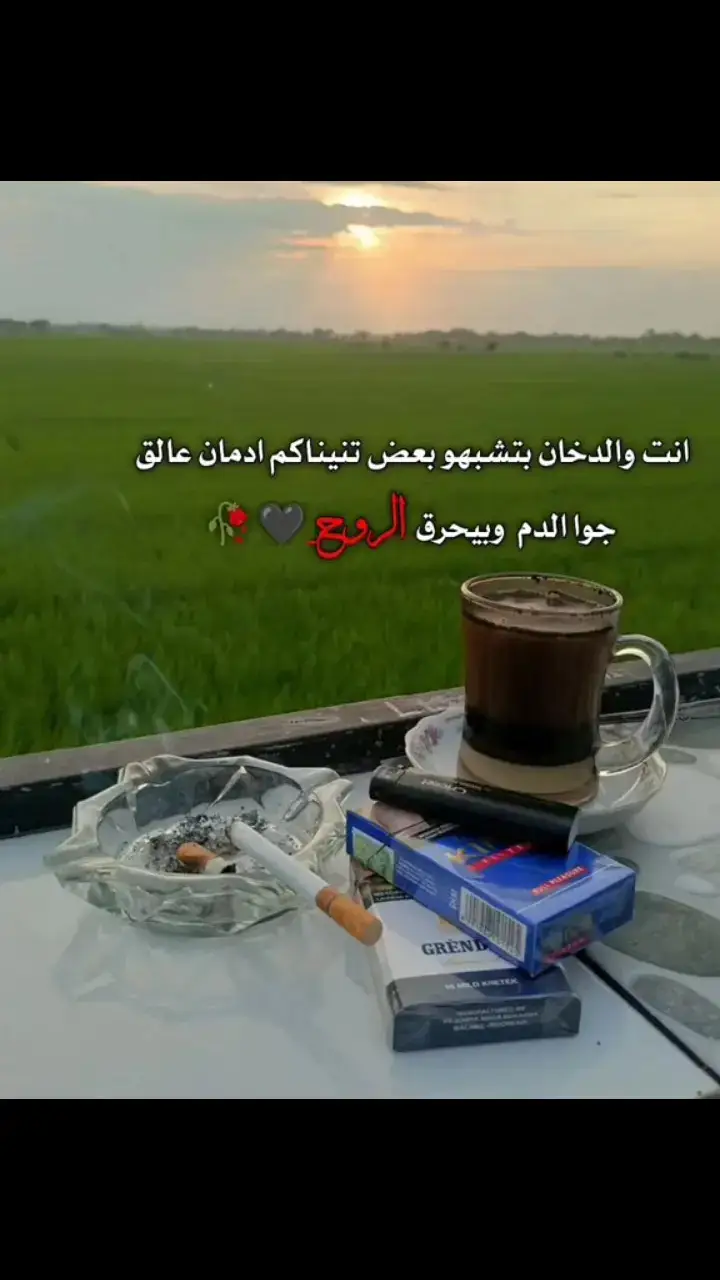 #مجرد_ذوق 