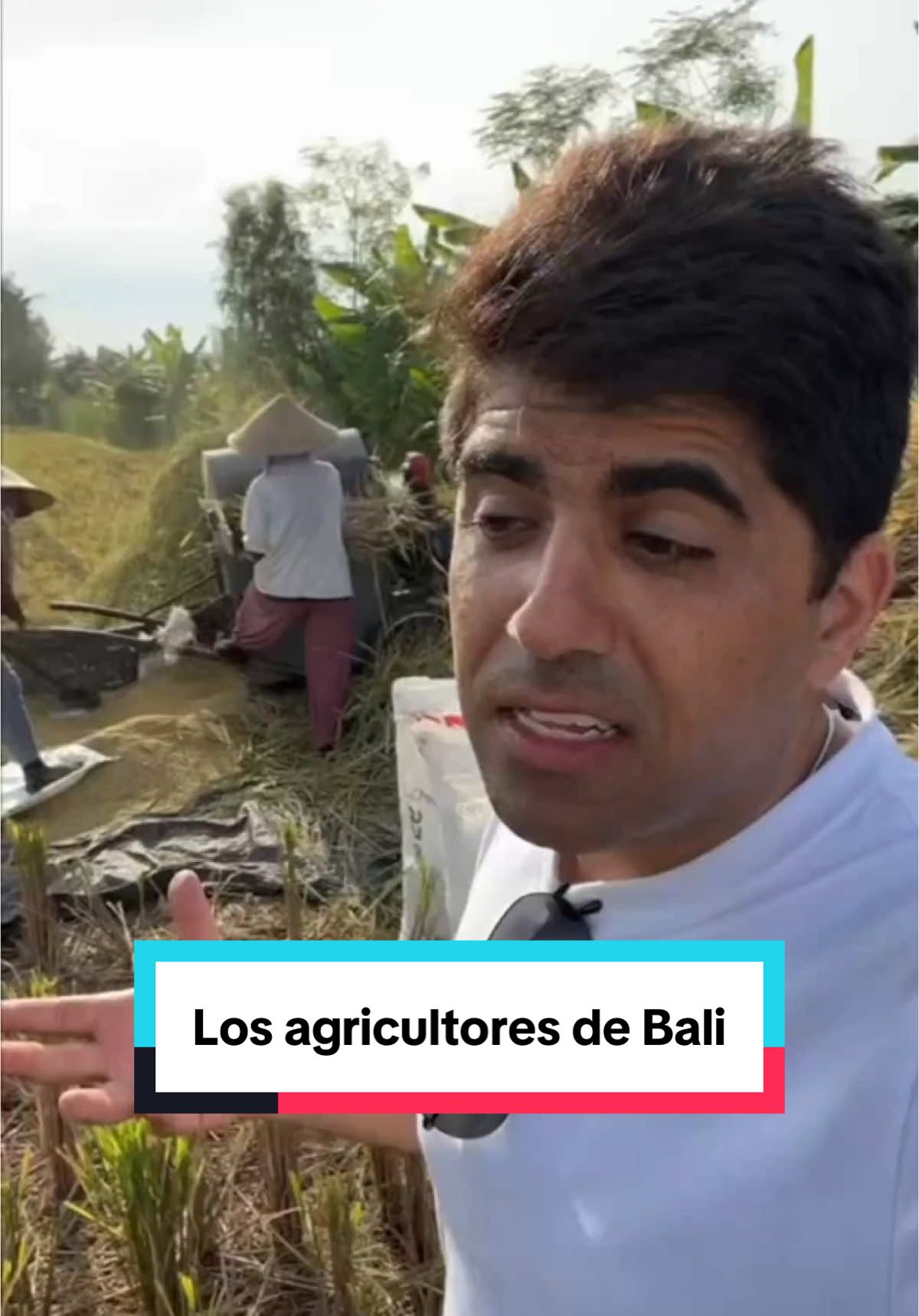 Los agricultores de Bali