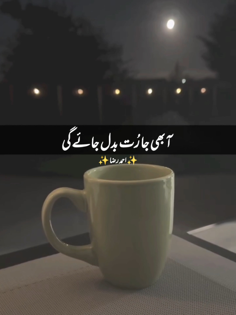 Aa Bhi Ja Rut Badal Jayega #nfaklines #nfakstatus #nfak_lines #nfaklovers  #nfakqawali #nfakghazal #foryou #viralvideo #foryou #foryoupage #fypage #foryoupage❤️❤️ 