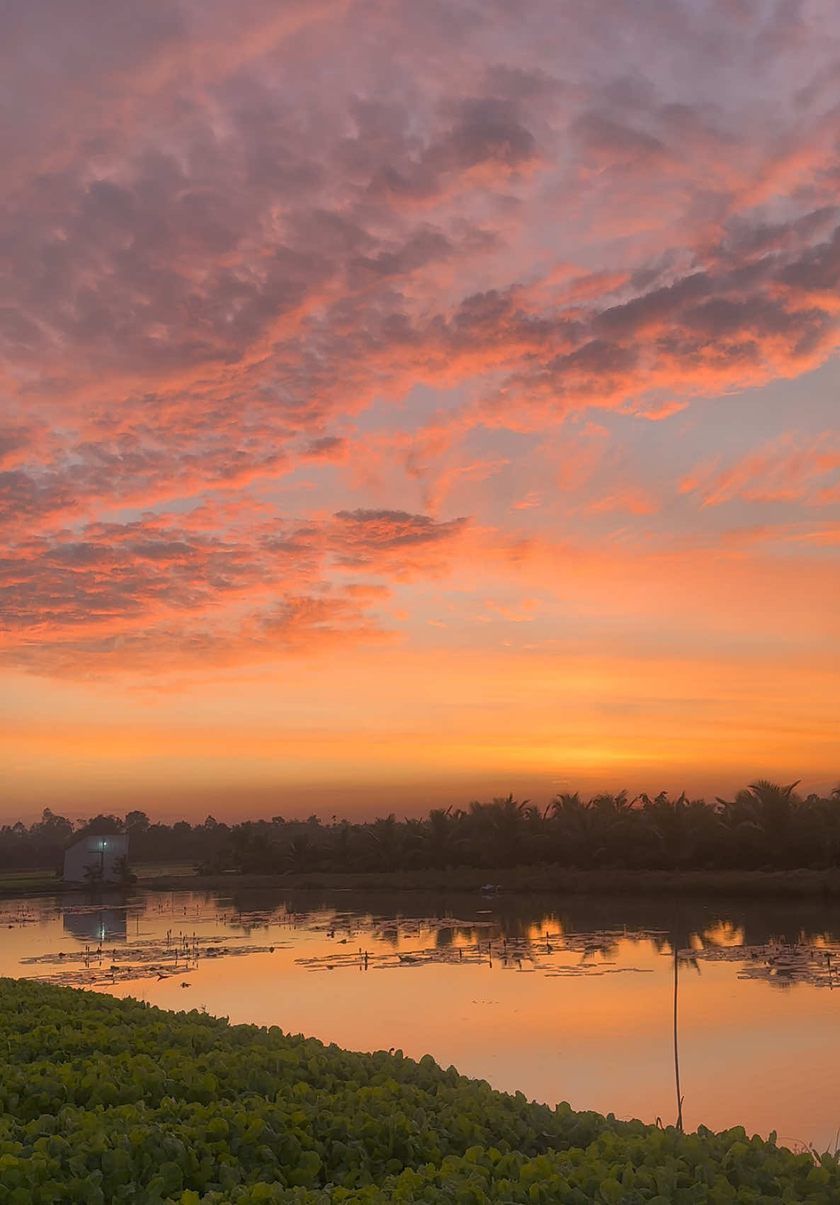 View triệu đô sau hè 🤩#hoànghôn #tâmtrạng #66đồngtháp 