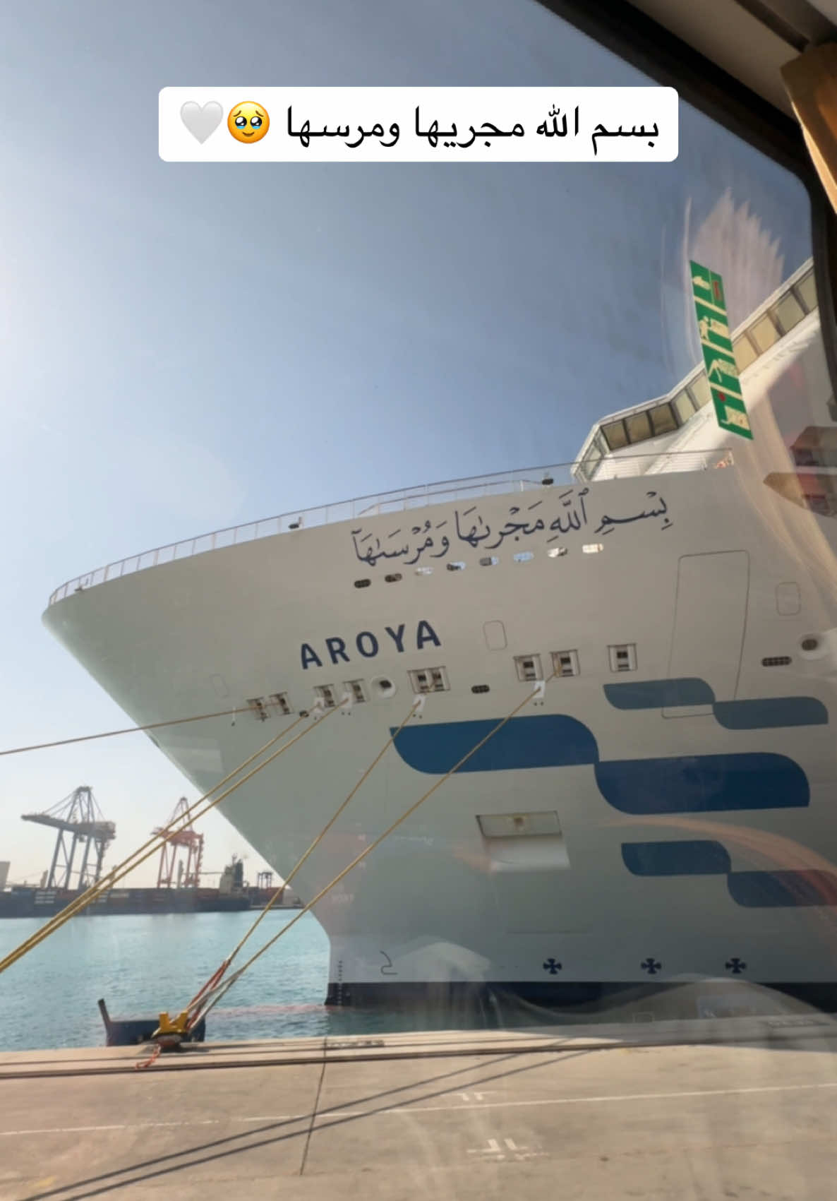 تجننن تبارك الله 🥹🛳️🤍 @AROYA | أرويـا #ارويا_كروز #ارويا #شرم #شرم_الشيخ #ميناء_جدة_الإسلامي #كروز #اكسبلور #جدة #fypシ゚viral #foryoupage 