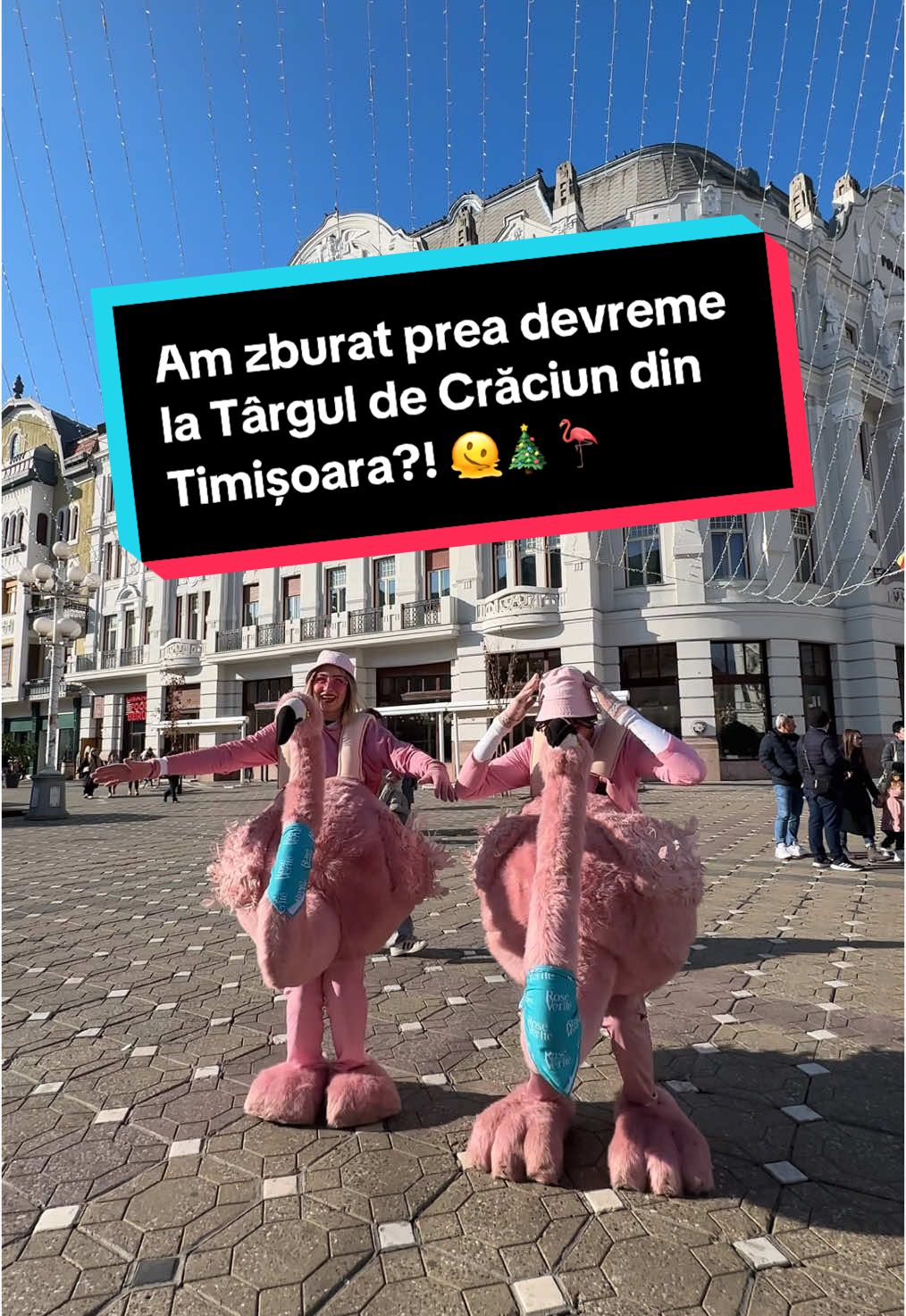 Târg n-am prins, măcar vreme bună 😂🥂 #365deziledevara #LaVidaEnRose #flamingointurulromaniei #romania #timisoara #funny #roseverite #beciuldomnesc #Vlog #craciun #sarbatori 