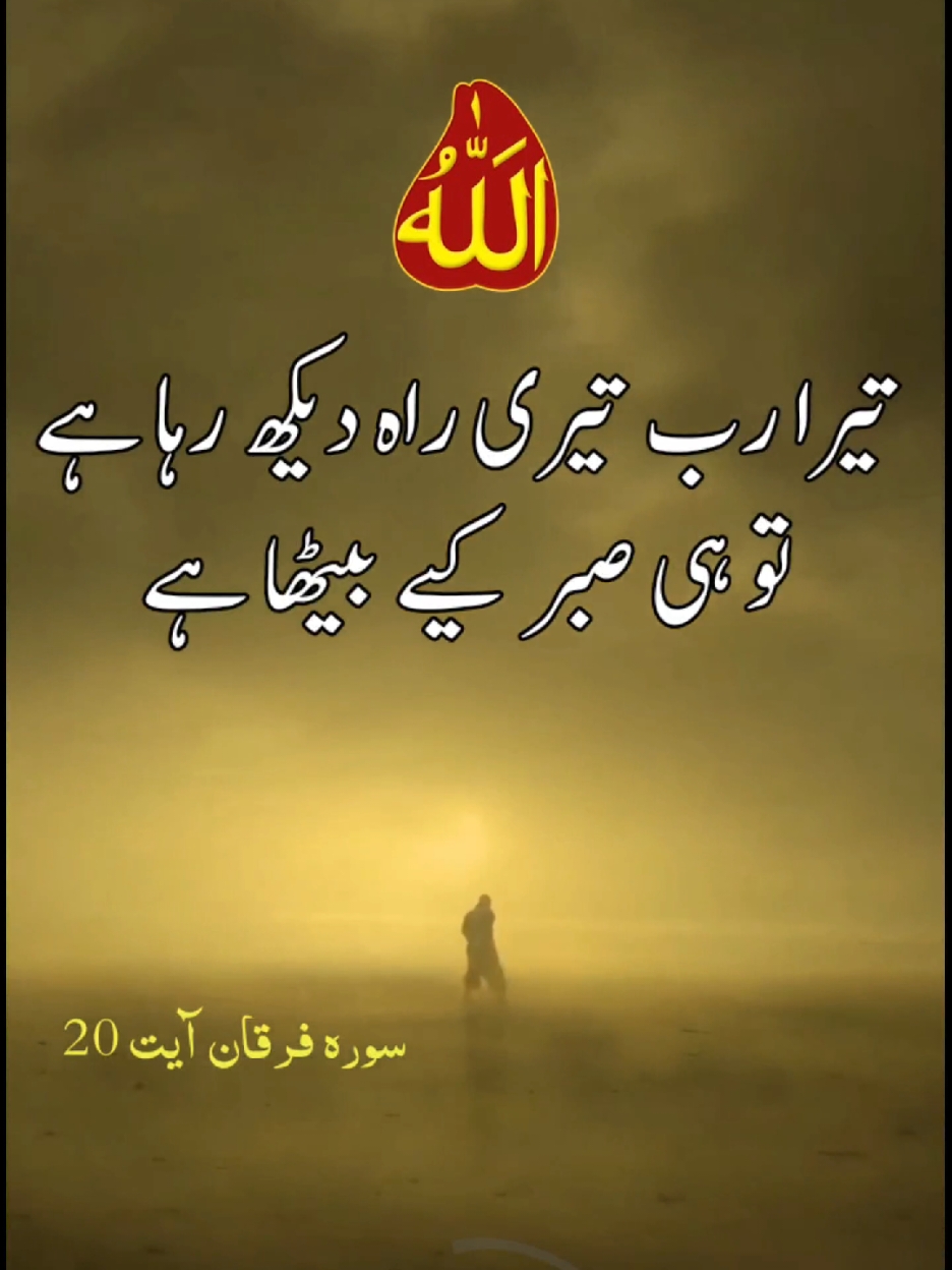 #صلی_اللہ_علیه_وآله_وسلم #zikar #اللہ #allahuakbar #تصوف_شریعت_طریقت_حقیقت #تصوف #islamic_video #quran #قرآن 