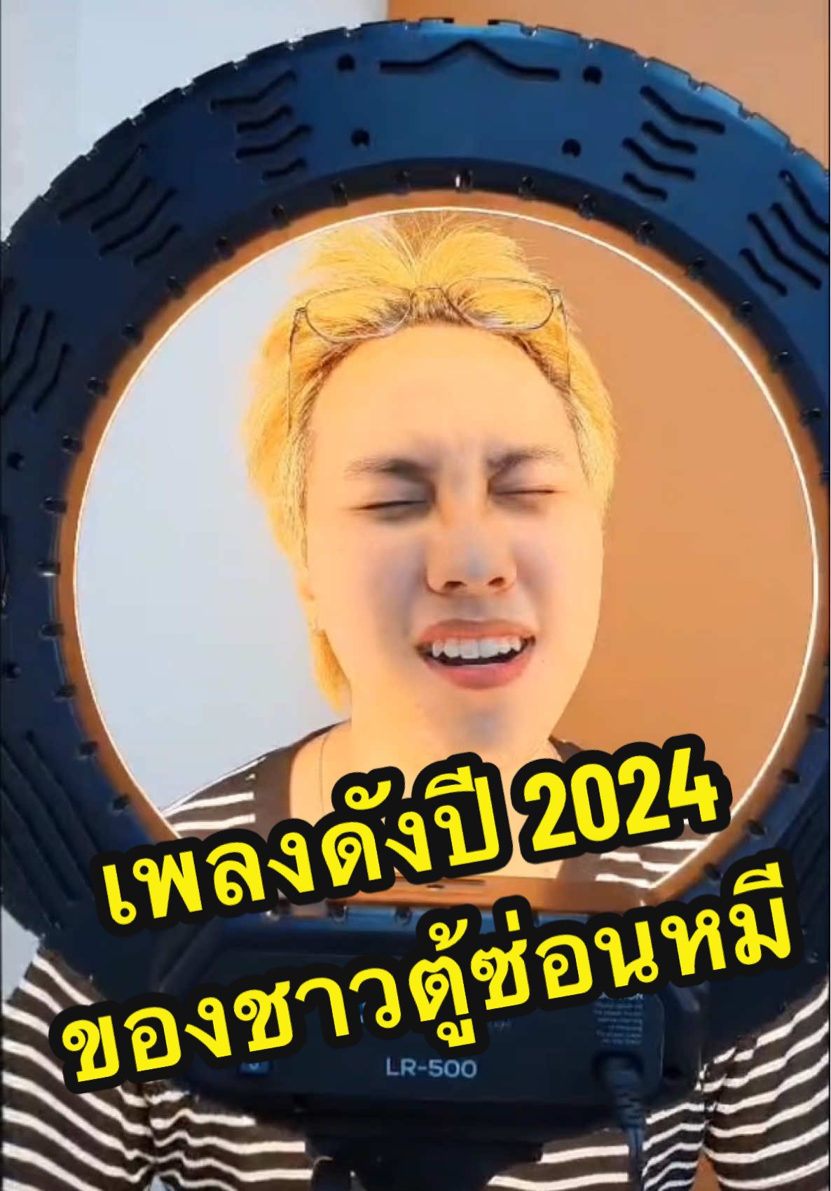 เพลงดังปี 2024 ของชาวตู้ซ่อนหมี #ตู้ซ่อนหมี #บันเทิงTikTok #ที่สุดแห่งปี #ที่สุดแห่งปี 