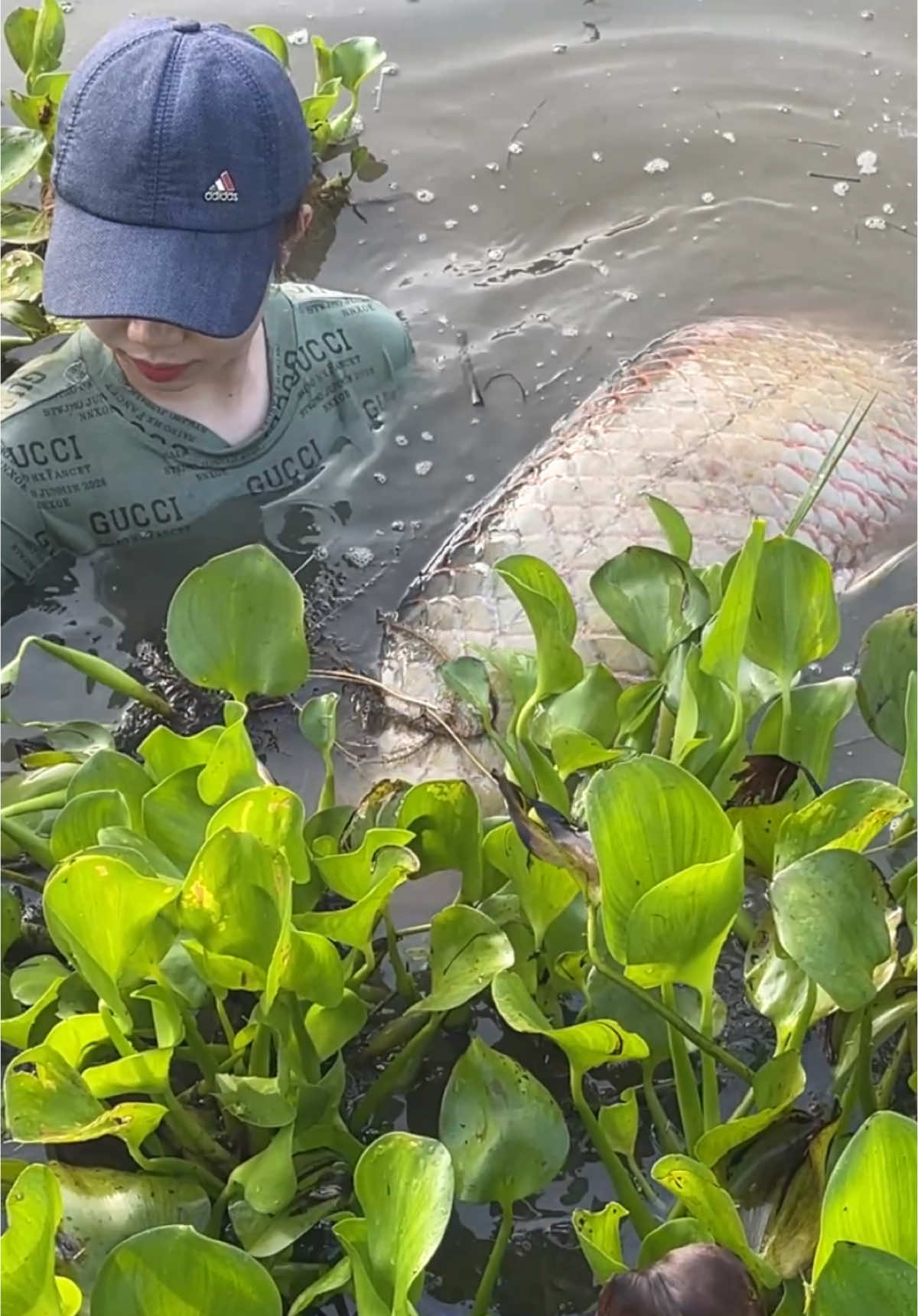 Surprised catch with giant fish #fishing 