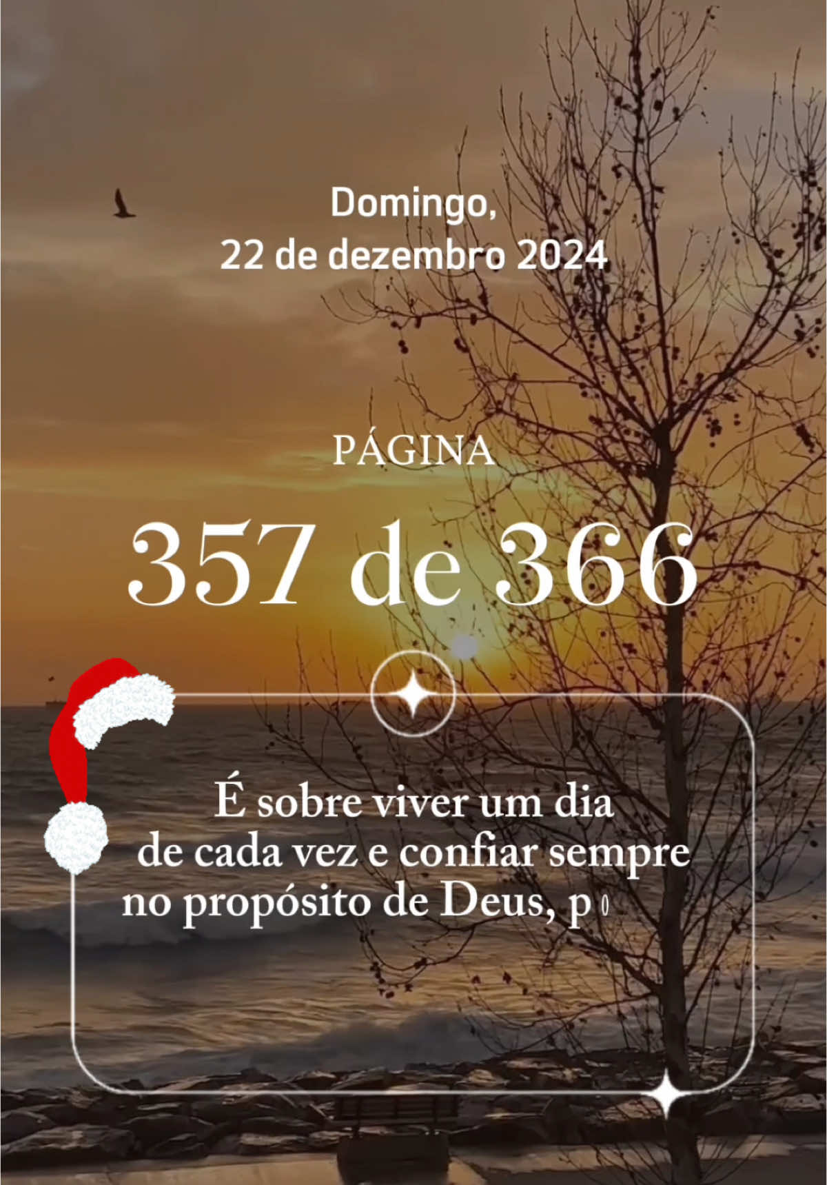 Frase do dia 22 de dezembro de 2024 - domingo. #frasedodia #frasedebomdia #frasestiktok #statusparawhatsapp #dezembro 