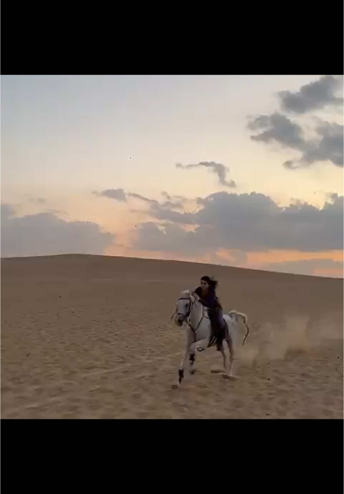 #شهد_الشمري #خيل_وخياله🐎 #explore 🔥🔥🔥🫶❤️#@sh7azi_ 