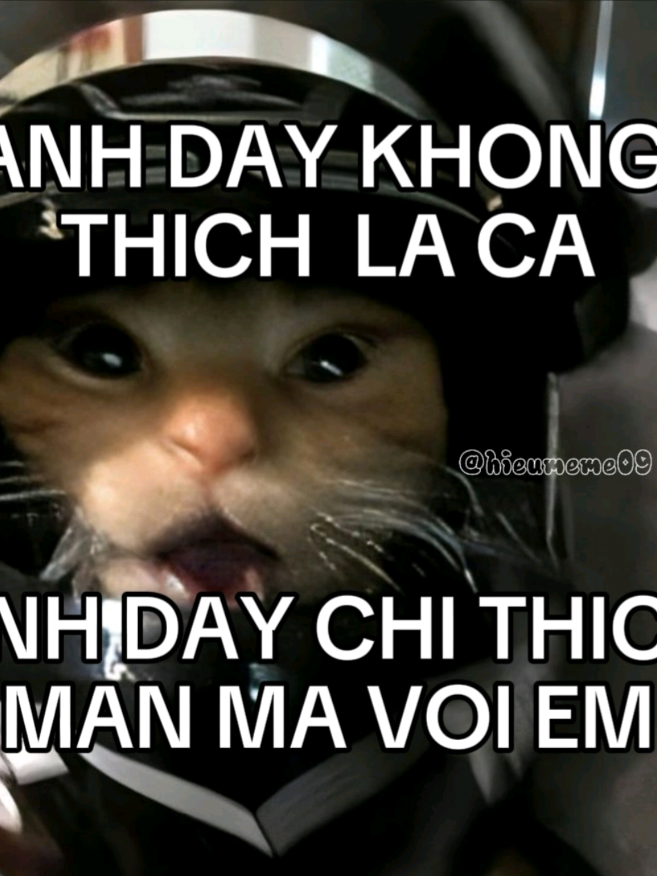 ANH DAY KHONG THICH LA CA!!#nhacremix #xuhuong #nhachaymoingay #fyp #xuhuongtiktok #tiktokgiaitri #thathinh #nhacchill #hieumeme09 