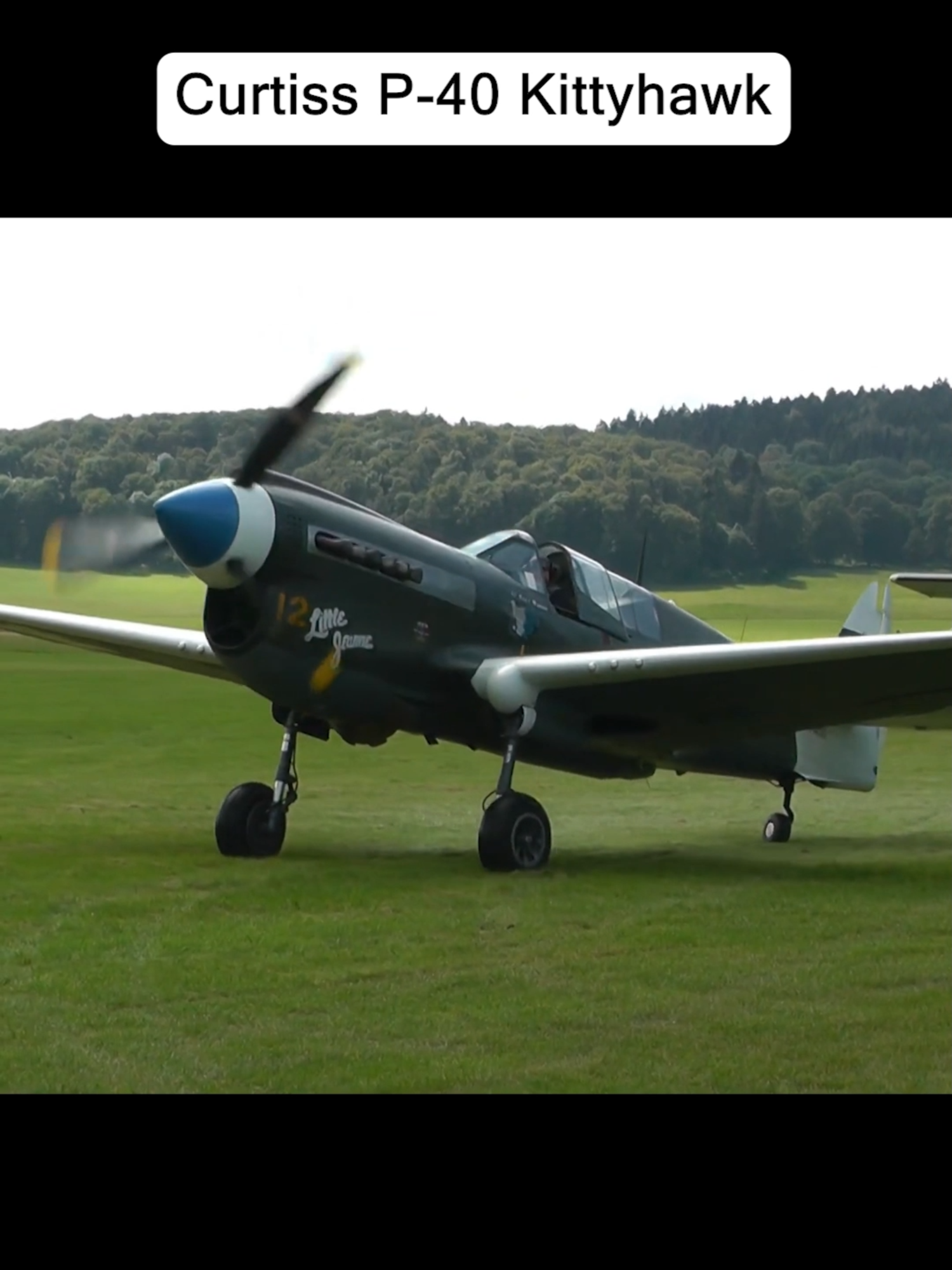 Curtiss P-40 Kittyhawk #aviation #pilots #airplane #fyp #foryour #helicopter #military #army