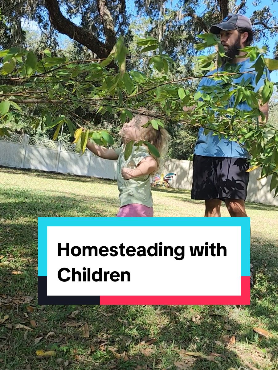 Homesteading with children takes a lot of work and a little strategy! We want the kids to love this lifestyle and find joy in it. How do you get your kids interested in homesteading? Leave a comment! I need ideas 😄 #homestead #homesteading #homesteadinglife #homesteadingtiktok #fruittree #fruittrees 