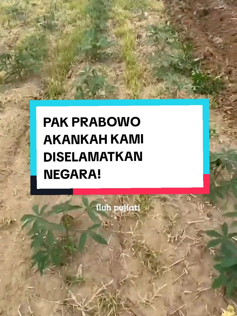 Jeritan petani muda untuk negri tercinta   #pejuangtani 