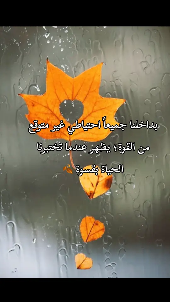 بداخلنا جميعاً احتياطي غير متوقع من القوة؛ يظهر عندما تختبرنا الحياة بقسوة 🍂