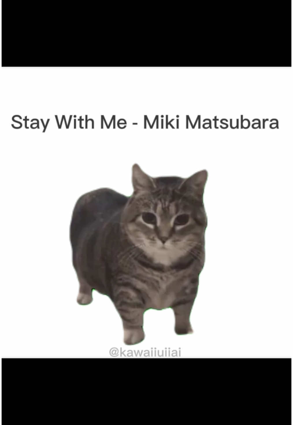 stay with meeee #staywithme #mikimatsubara #uiiaiouuiiaio #fyp #trending #music #remix #viral #cat #funny #fun #entertain #sing #edit #japan #japanese #jp #jpop #jpopfyp