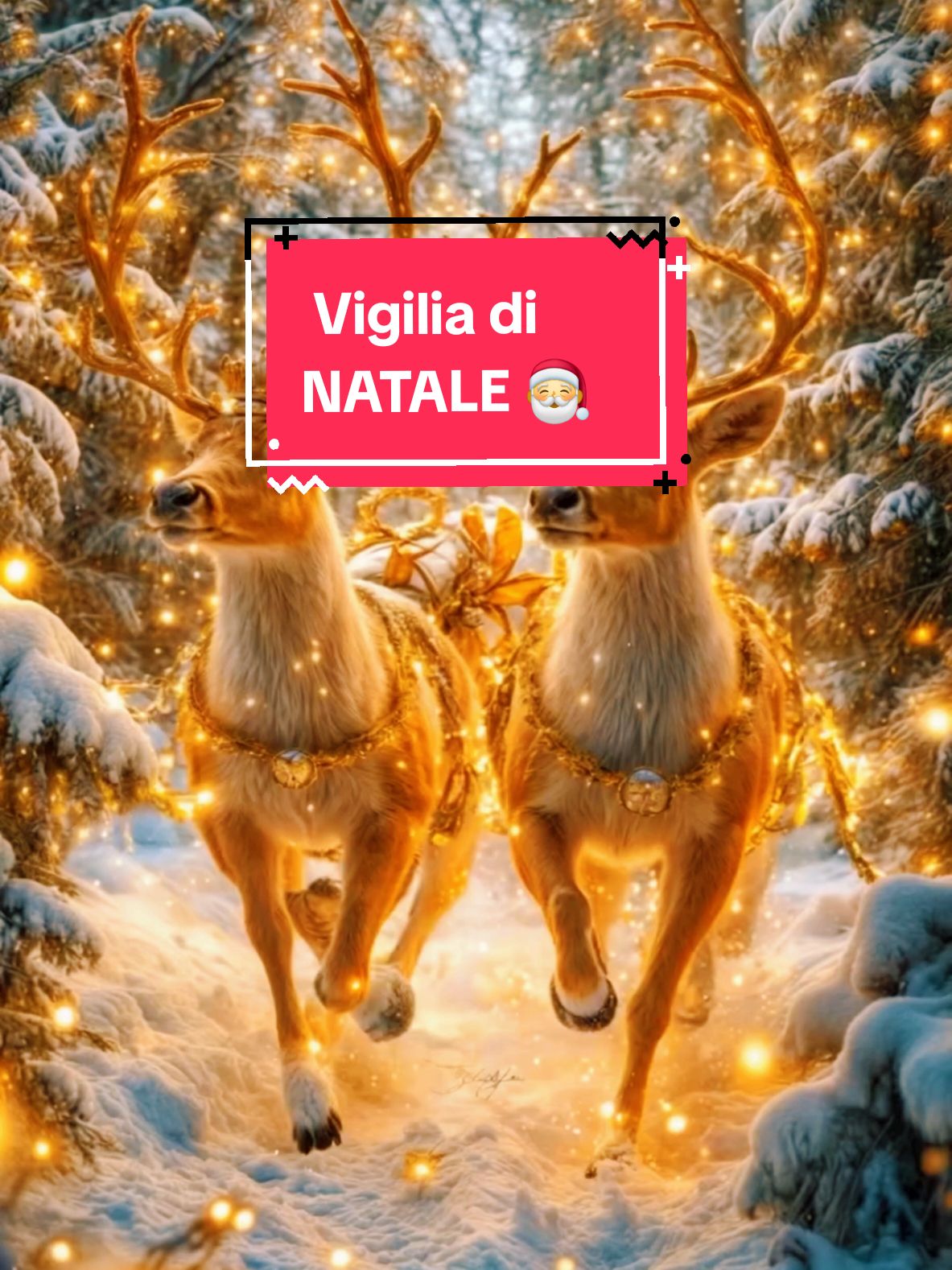 #vigiliadinatale #natale 