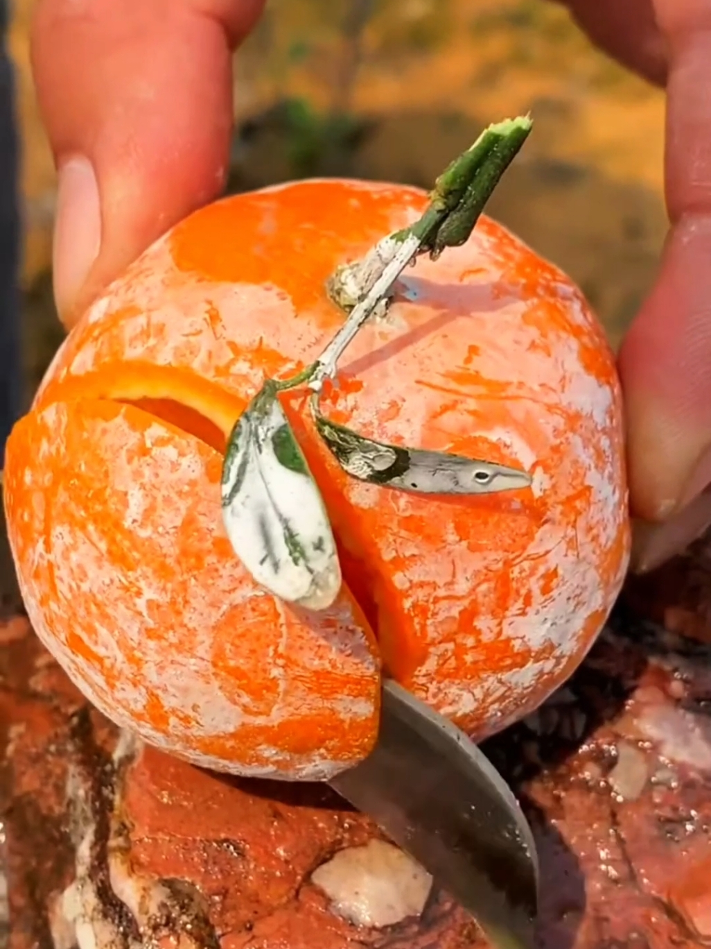 Oddly Satisfying ORANGE🍊🍊 Fresh Fruit Cutting In My Farm | How To Cut Fruit In My Farm #mukbang #healthydessert #shorts