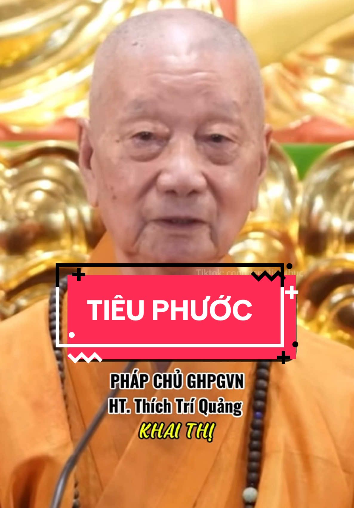 Có phước xin đừng hưởng hết. Hãy lo bồi đắp thêm #congdongtinhthuc #phatgiao #daophat #thichtriquang 