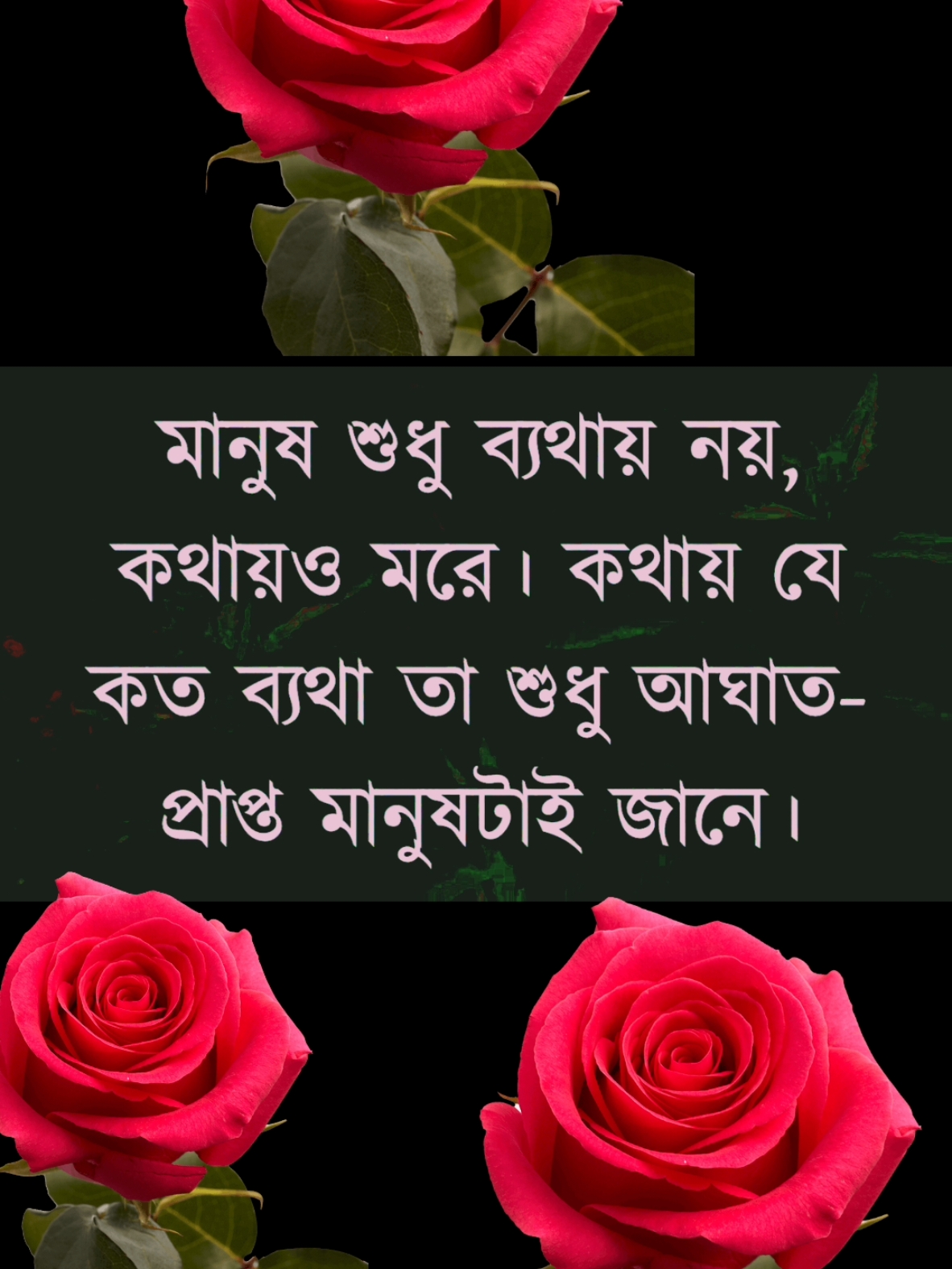 Heart touching Motivational Bangla story line #shorts #youtubeshorts #quotes #ytshorts #tiktok #foryou 