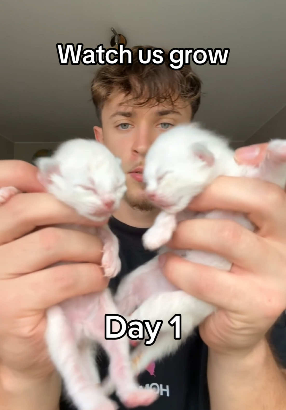 The blue eyes #fyp #kittens #viral #kitten 
